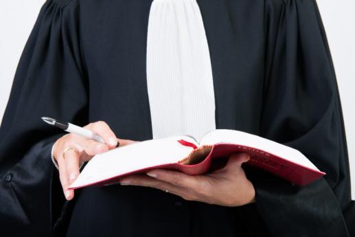 Plaider en droit pénal